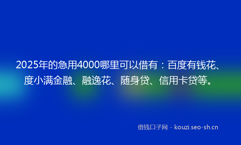 2025年的急用4000哪里可以借有：百度有钱花、度小满金融、融逸花、随身贷、信用卡贷等。
