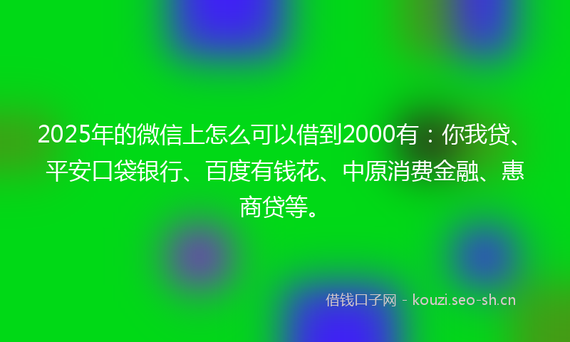 2025年的微信上怎么可以借到2000有：你我贷、平安口袋银行、百度有钱花、中原消费金融、惠商贷等。