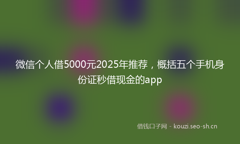 微信个人借5000元2025年推荐，概括五个手机身份证秒借现金的app
