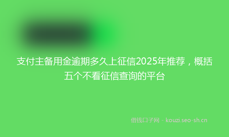 支付主备用金逾期多久上征信2025年推荐,概括五个不看征信查询的平台
