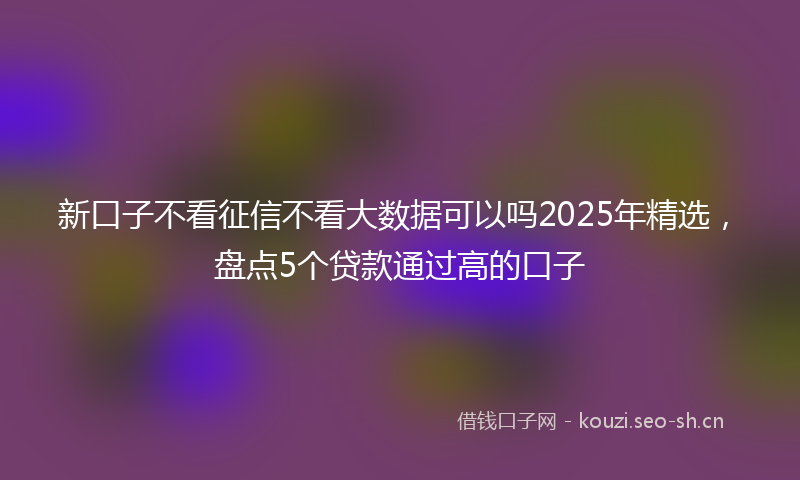 新口子不看征信不看大数据可以吗2025年精选，盘点5个贷款通过高的口子
