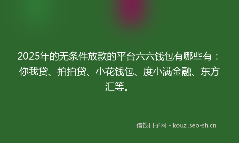 2025年的无条件放款的平台六六钱包有哪些有：你我贷、拍拍贷、小花钱包、度小满金融、东方汇等。