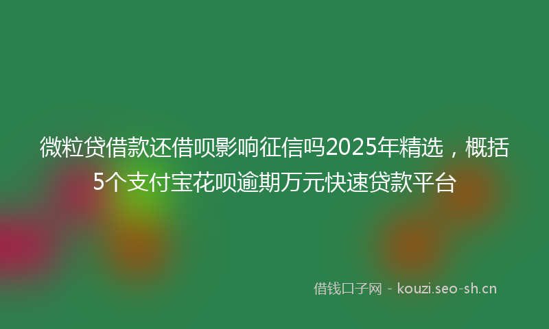 微粒贷借款还借呗影响征信吗2025年精选，概括5个支付宝花呗逾期万元快速贷款平台