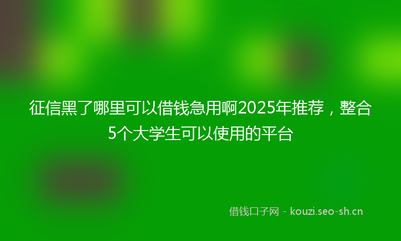 征信黑了哪里可以借钱急用啊2025年推荐，整合5个大学生可以使用的平台