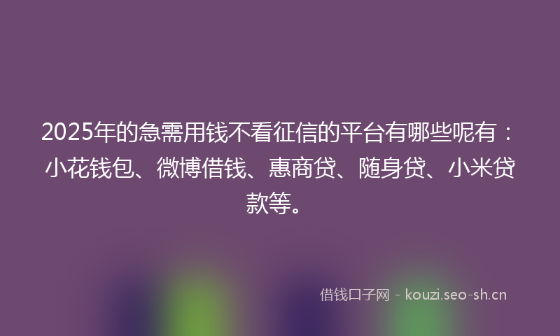 2025年的急需用钱不看征信的平台有哪些呢有：小花钱包、微博借钱、惠商贷、随身贷、小米贷款等。