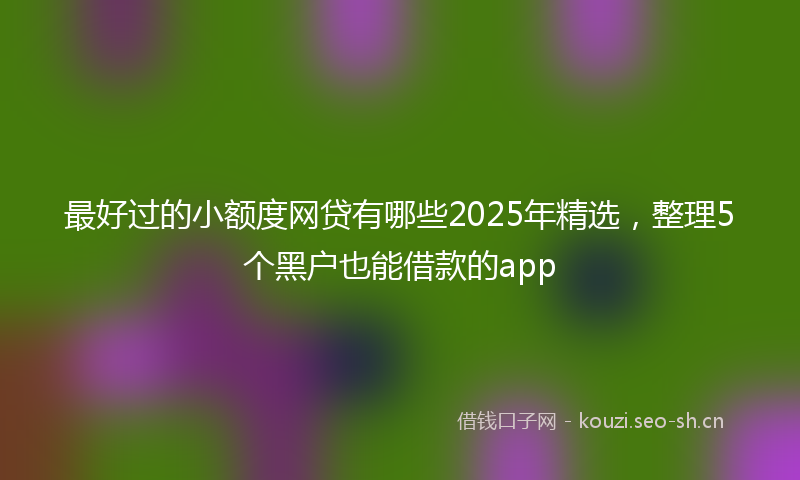最好过的小额度网贷有哪些2025年精选，整理5个黑户也能借款的app