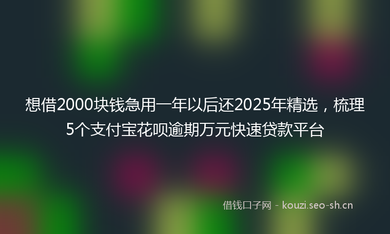 想借2000块钱急用一年以后还2025年精选，梳理5个支付宝花呗逾期万元快速贷款平台