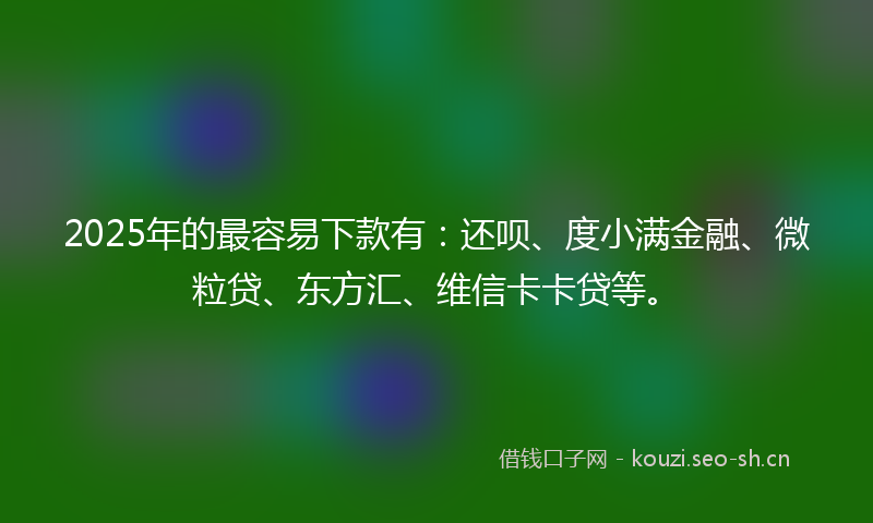 2025年的最容易下款有：还呗、度小满金融、微粒贷、东方汇、维信卡卡贷等。