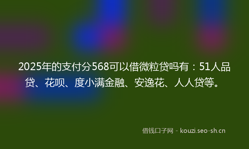 2025年的支付分568可以借微粒贷吗有：51人品贷、花呗、度小满金融、安逸花、人人贷等。