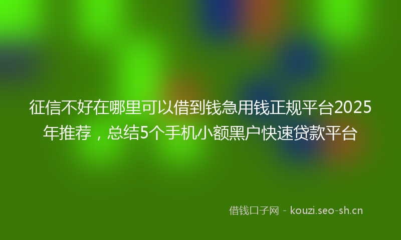 征信不好在哪里可以借到钱急用钱正规平台2025年推荐，总结5个手机小额黑户快速贷款平台
