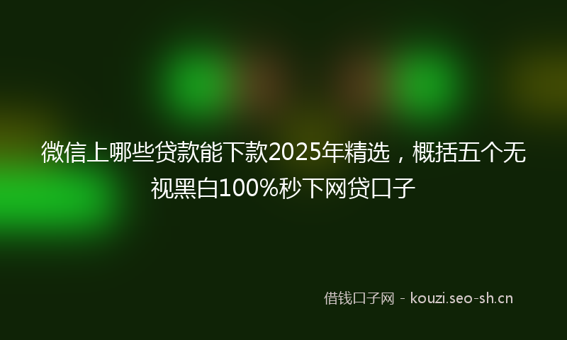 微信上哪些贷款能下款2025年精选，概括五个无视黑白100%秒下网贷口子