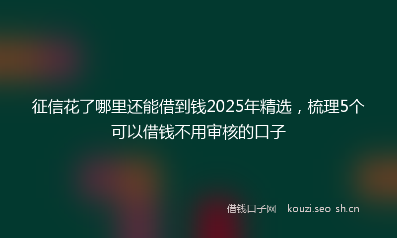 征信花了哪里还能借到钱2025年精选，梳理5个可以借钱不用审核的口子