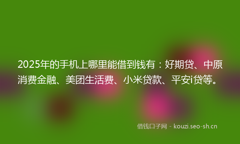 2025年的手机上哪里能借到钱有：好期贷、中原消费金融、美团生活费、小米贷款、平安i贷等。