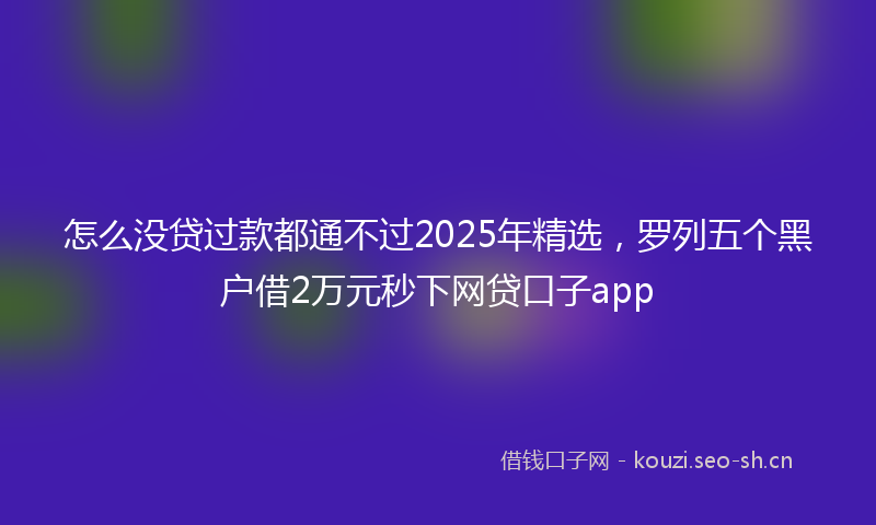 怎么没贷过款都通不过2025年精选，罗列五个黑户借2万元秒下网贷口子app