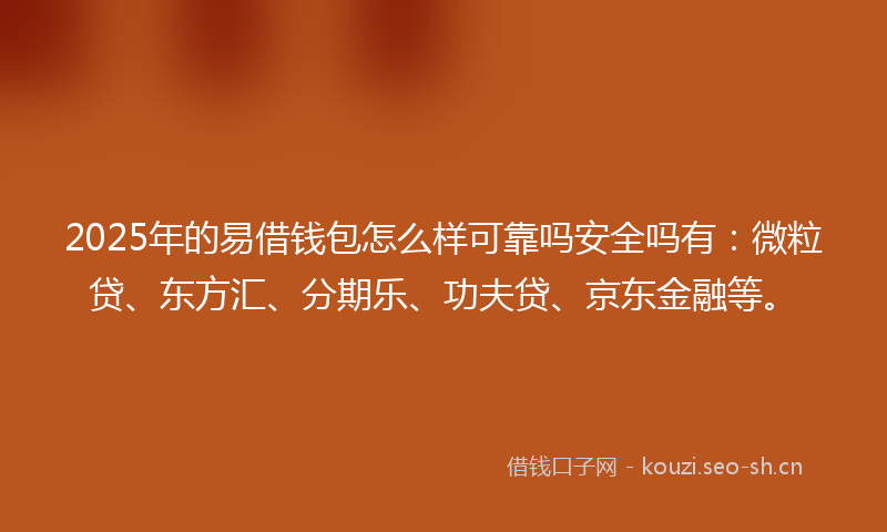 2025年的易借钱包怎么样可靠吗安全吗有：微粒贷、东方汇、分期乐、功夫贷、京东金融等。