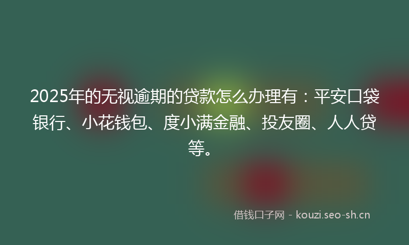 2025年的无视逾期的贷款怎么办理有：平安口袋银行、小花钱包、度小满金融、投友圈、人人贷等。