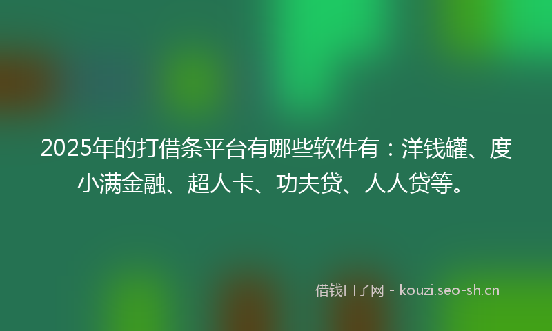 2025年的打借条平台有哪些软件有：洋钱罐、度小满金融、超人卡、功夫贷、人人贷等。