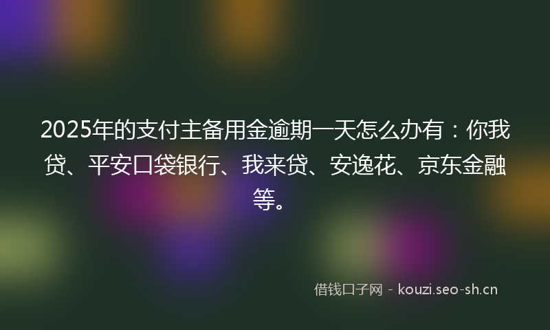 2025年的支付主备用金逾期一天怎么办有：你我贷、平安口袋银行、我来贷、安逸花、京东金融等。