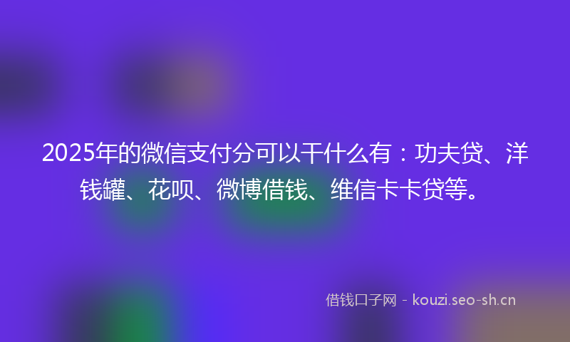 2025年的微信支付分可以干什么有：功夫贷、洋钱罐、花呗、微博借钱、维信卡卡贷等。
