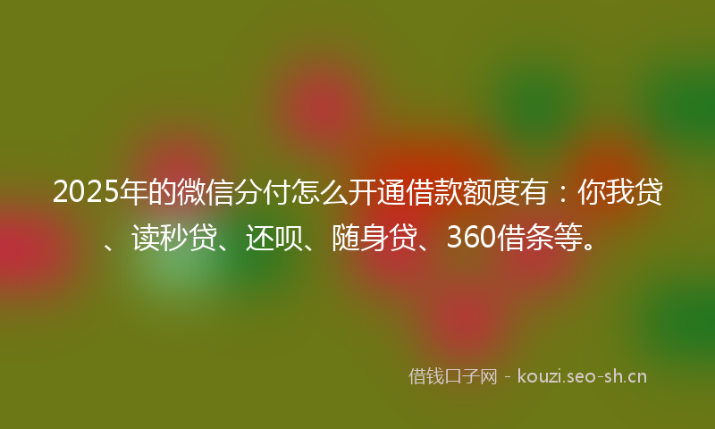 2025年的微信分付怎么开通借款额度有：你我贷、读秒贷、还呗、随身贷、360借条等。