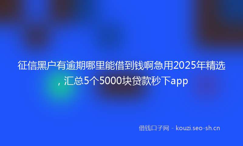 征信黑户有逾期哪里能借到钱啊急用2025年精选，汇总5个5000块贷款秒下app
