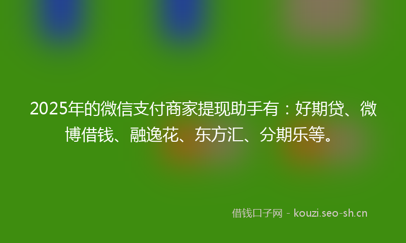 2025年的微信支付商家提现助手有:好期贷、微博借钱、融逸花、东方汇、分期乐等。