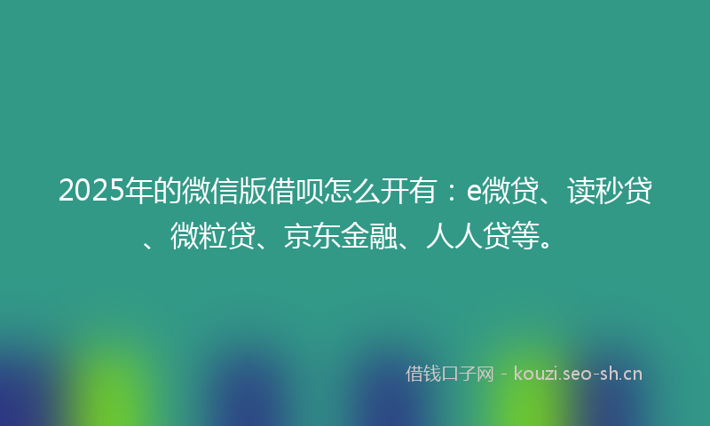 2025年的微信版借呗怎么开有：e微贷、读秒贷、微粒贷、京东金融、人人贷等。