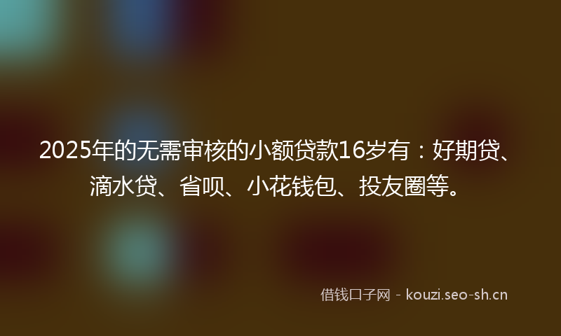 2025年的无需审核的小额贷款16岁有:好期贷、滴水贷、省呗、小花钱包、投友圈等。