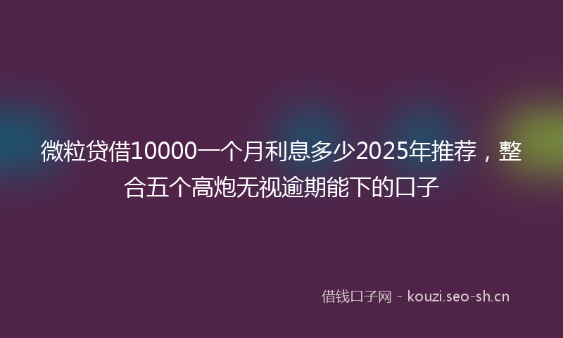 微粒贷借10000一个月利息多少2025年推荐，整合五个高炮无视逾期能下的口子