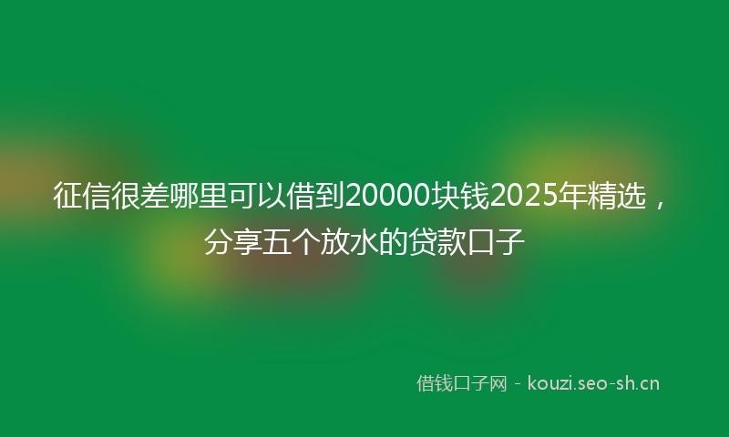 征信很差哪里可以借到20000块钱2025年精选，分享五个放水的贷款口子