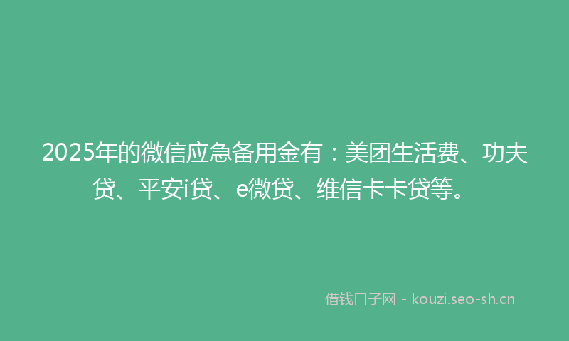 2025年的微信应急备用金有:美团生活费、功夫贷、平安i贷、e微贷、维信卡卡贷等。