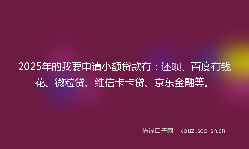 2025年的我要申请小额贷款有：还呗、百度有钱花、微粒贷、维信卡卡贷、京东金融等。