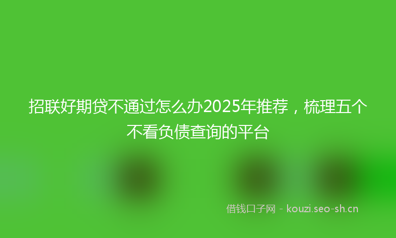 招联好期贷不通过怎么办2025年推荐，梳理五个不看负债查询的平台