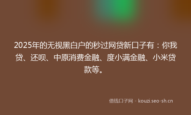 2025年的无视黑白户的秒过网贷新口子有：你我贷、还呗、中原消费金融、度小满金融、小米贷款等。