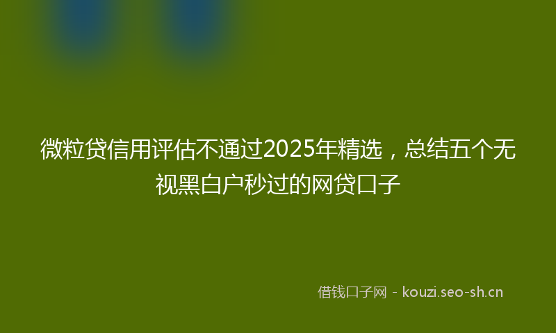 微粒贷信用评估不通过2025年精选，总结五个无视黑白户秒过的网贷口子