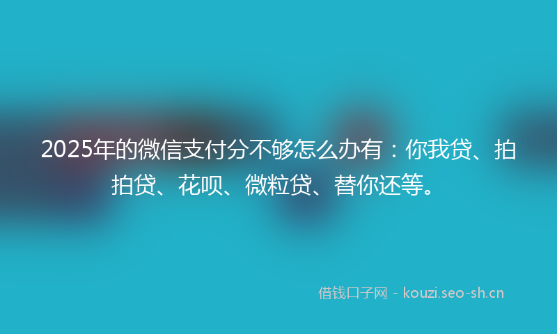 2025年的微信支付分不够怎么办有：你我贷、拍拍贷、花呗、微粒贷、替你还等。