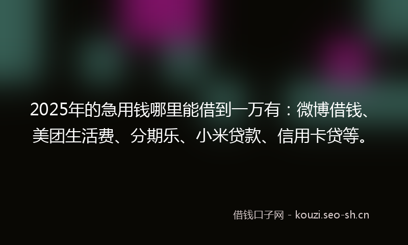 2025年的急用钱哪里能借到一万有：微博借钱、美团生活费、分期乐、小米贷款、信用卡贷等。