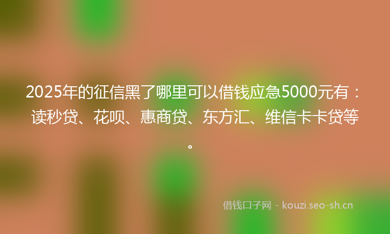 2025年的征信黑了哪里可以借钱应急5000元有：读秒贷、花呗、惠商贷、东方汇、维信卡卡贷等。