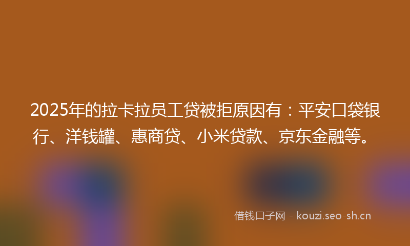 2025年的拉卡拉员工贷被拒原因有：平安口袋银行、洋钱罐、惠商贷、小米贷款、京东金融等。