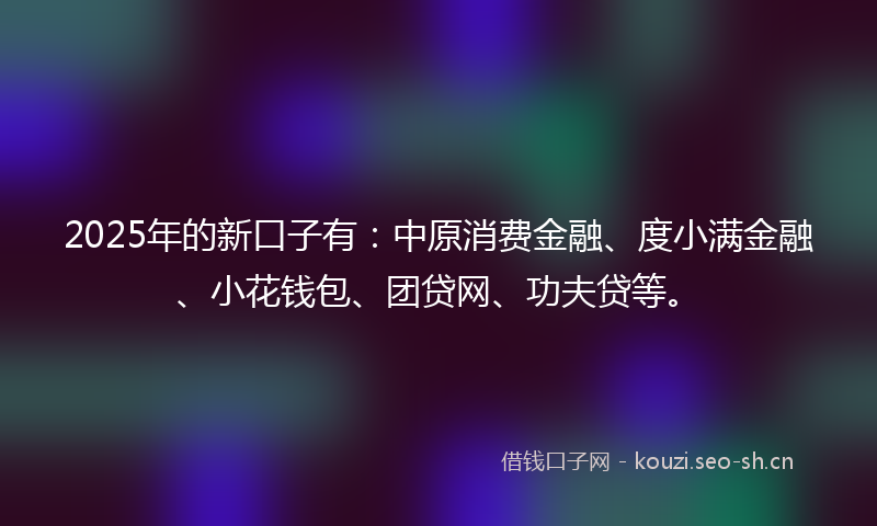 2025年的新口子有：中原消费金融、度小满金融、小花钱包、团贷网、功夫贷等。