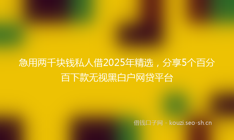 急用两千块钱私人借2025年精选，分享5个百分百下款无视黑白户网贷平台
