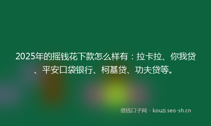 2025年的摇钱花下款怎么样有：拉卡拉、你我贷、平安口袋银行、柯基贷、功夫贷等。