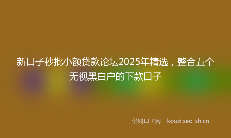 新口子秒批小额贷款论坛2025年精选，整合五个无视黑白户的下款口子
