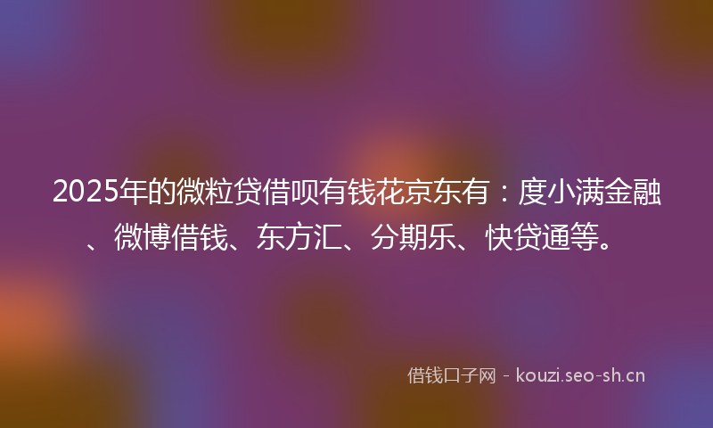 2025年的微粒贷借呗有钱花京东有：度小满金融、微博借钱、东方汇、分期乐、快贷通等。