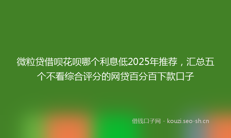 微粒贷借呗花呗哪个利息低2025年推荐，汇总五个不看综合评分的网贷百分百下款口子