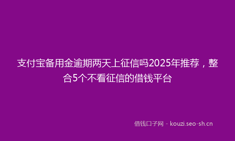 支付宝备用金逾期两天上征信吗2025年推荐，整合5个不看征信的借钱平台