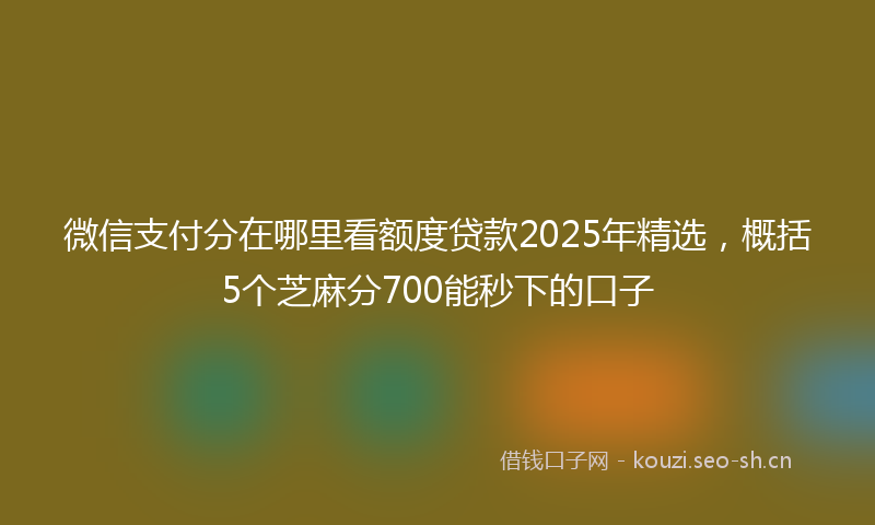微信支付分在哪里看额度贷款2025年精选，概括5个芝麻分700能秒下的口子