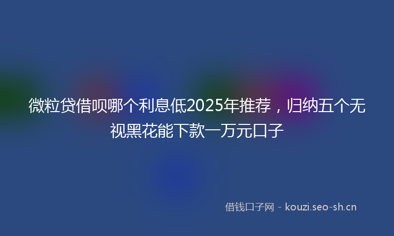 微粒贷借呗哪个利息低2025年推荐，归纳五个无视黑花能下款一万元口子