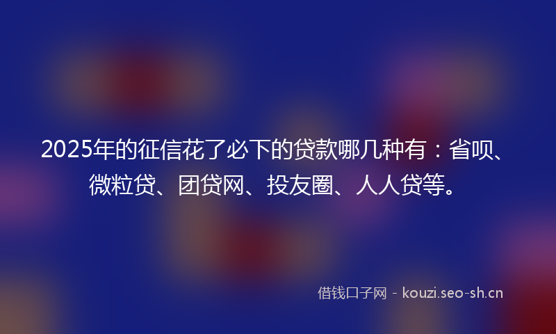2025年的征信花了必下的贷款哪几种有：省呗、微粒贷、团贷网、投友圈、人人贷等。