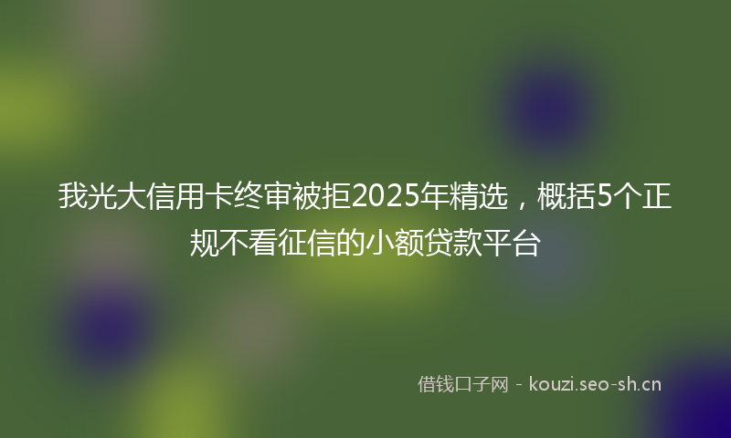 我光大信用卡终审被拒2025年精选，概括5个正规不看征信的小额贷款平台